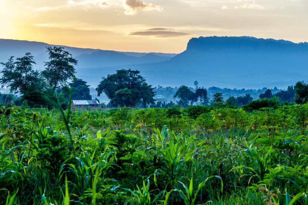 Blick in den Mount Elgon Nationalpark